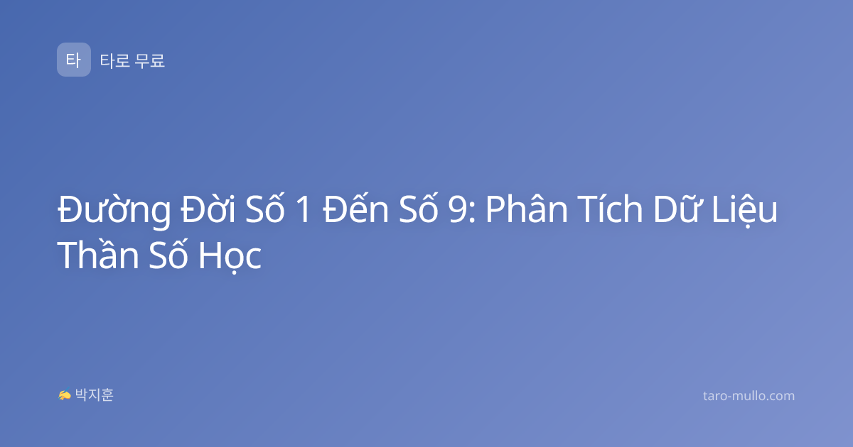 Đường Đời Số 1 Đến Số 9: Phân Tích Dữ Liệu Thần Số Học