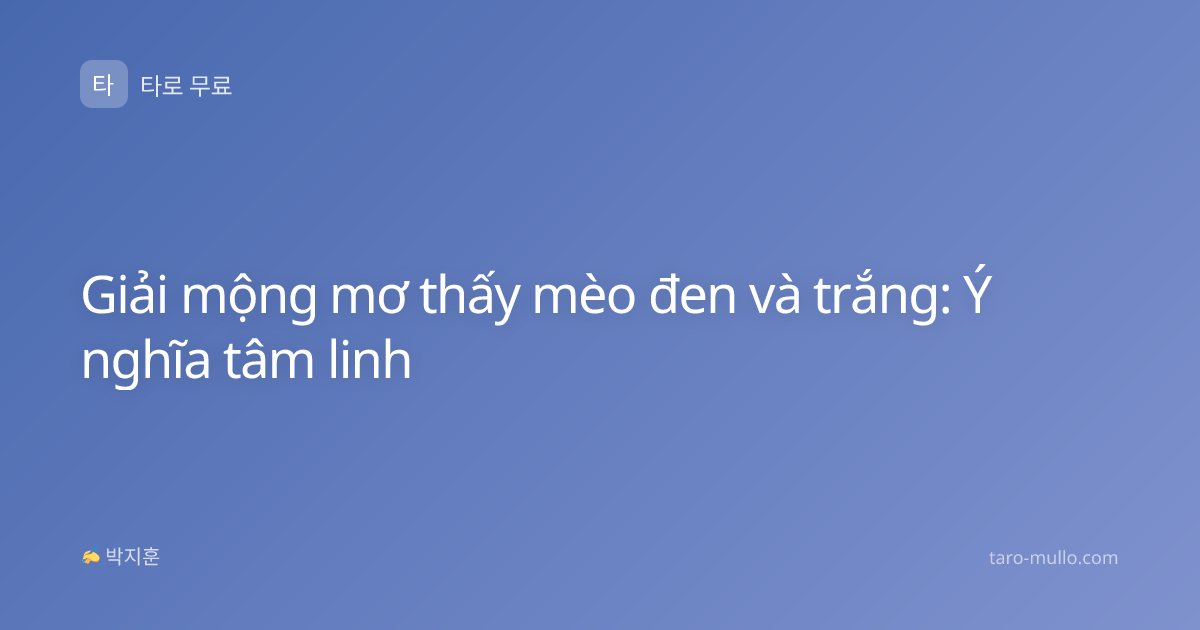Giải mộng mơ thấy mèo đen và trắng: Ý nghĩa tâm linh
